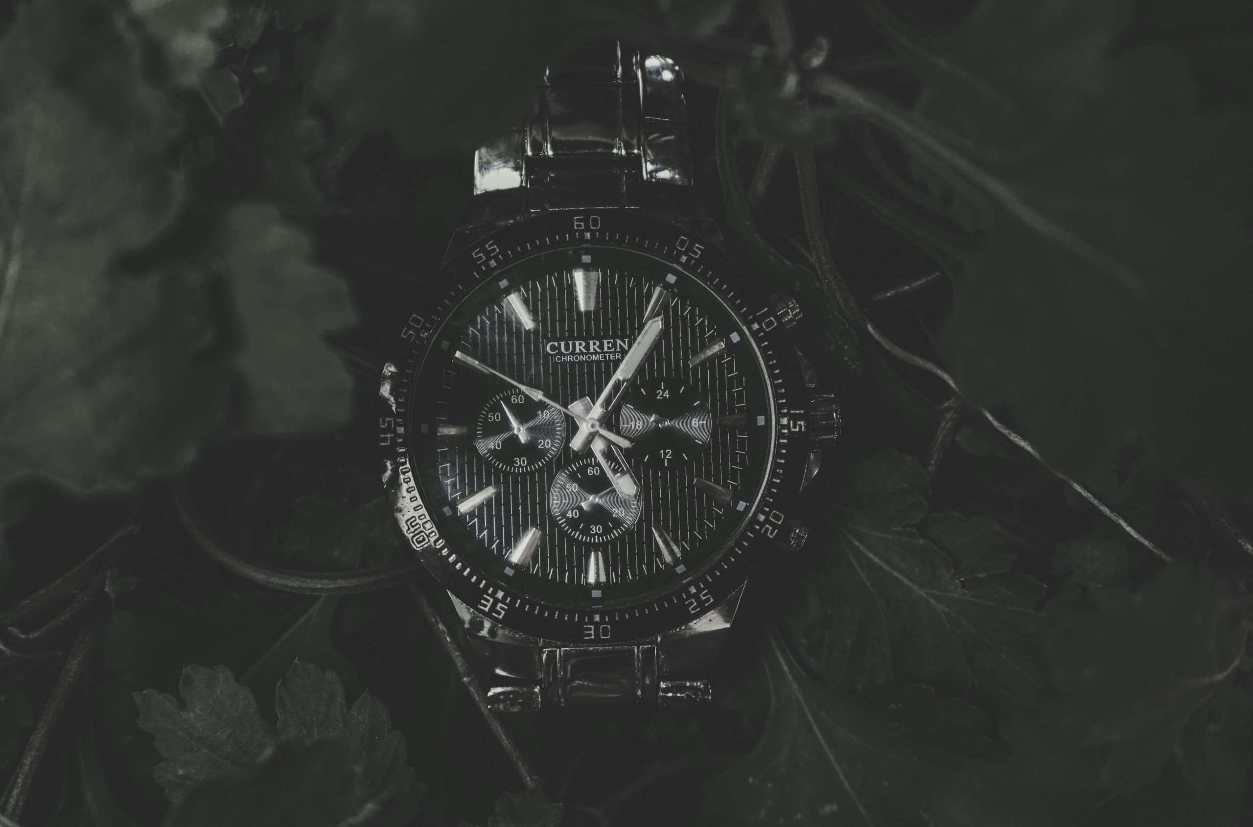 pexels-photo-1075189-1075189 Close-up of an elegant vintage chronograph watch with a dark and moody aesthetic, nestled among leaves.